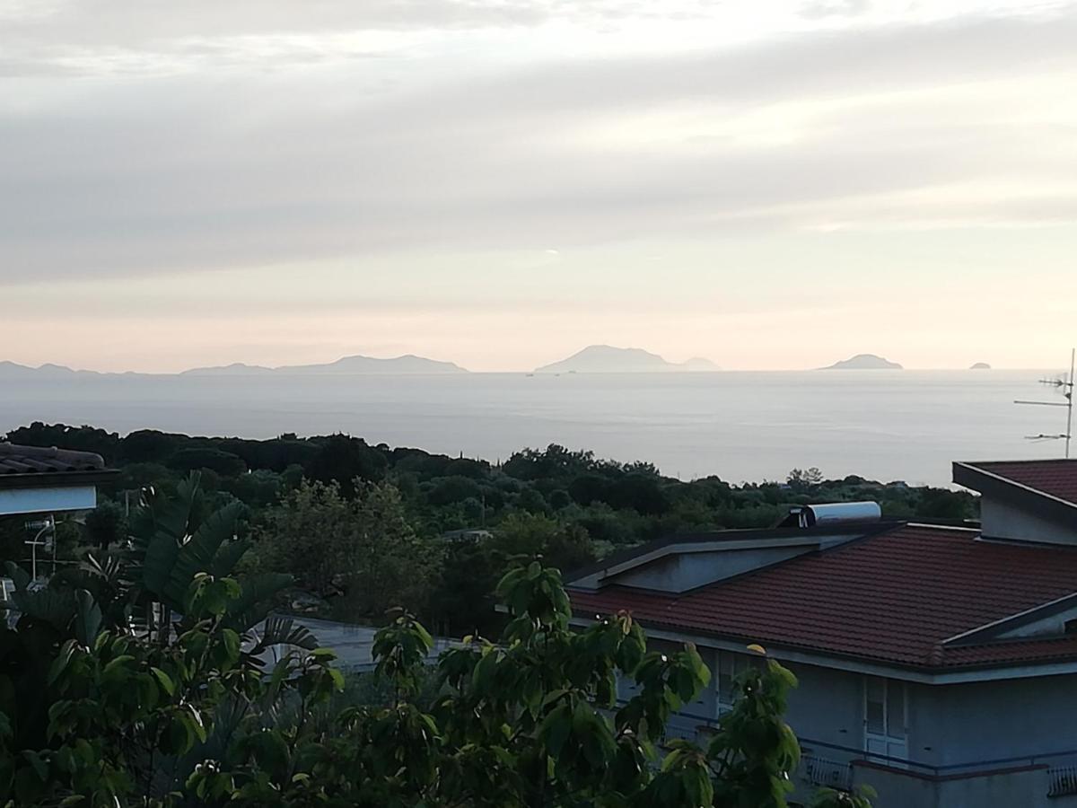 B&B Villa Orchidea Ricadi Ngoại thất bức ảnh