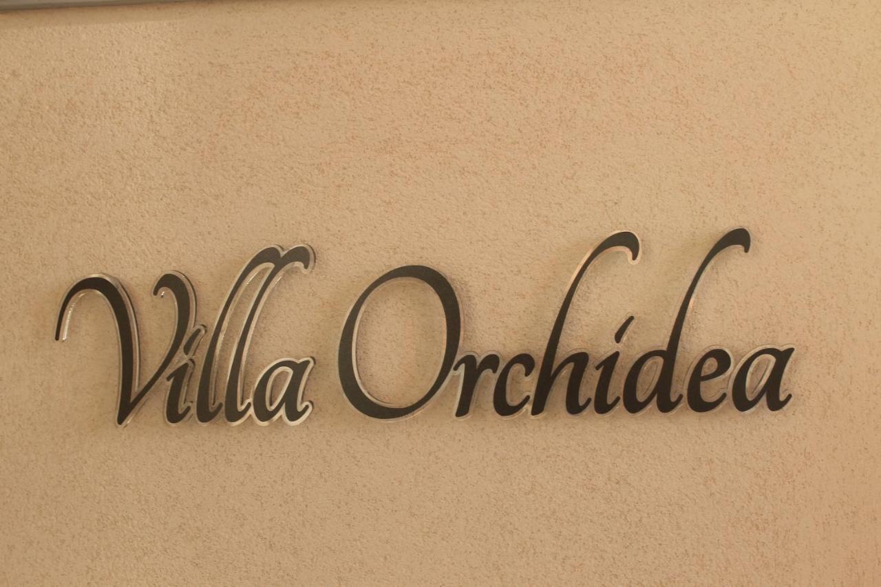B&B Villa Orchidea Ricadi Ngoại thất bức ảnh