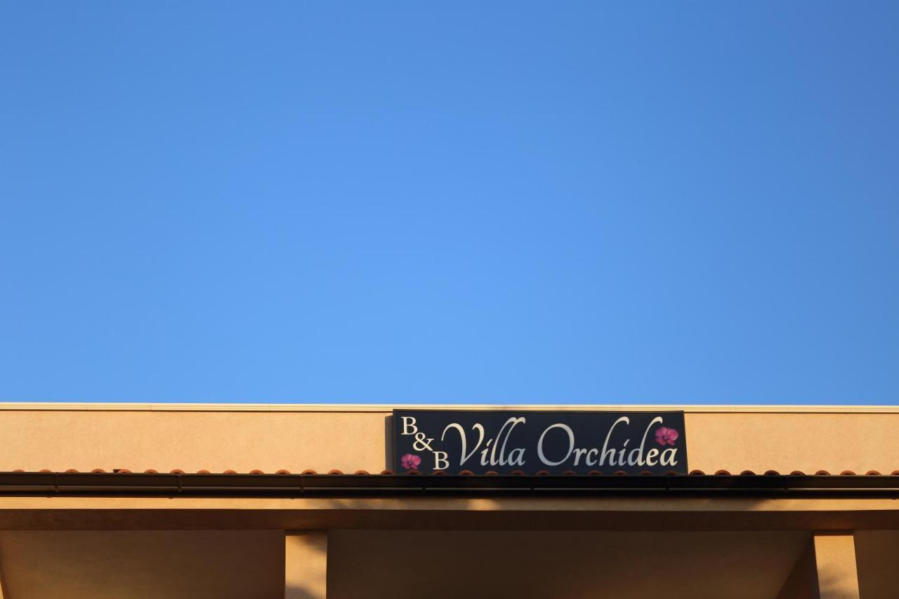 B&B Villa Orchidea Ricadi Ngoại thất bức ảnh