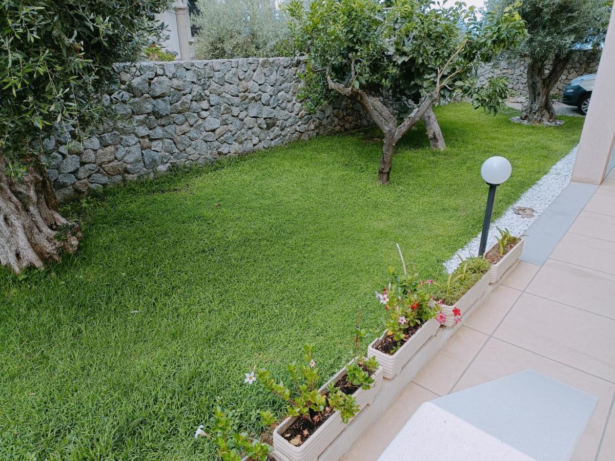 B&B Villa Orchidea Ricadi Ngoại thất bức ảnh
